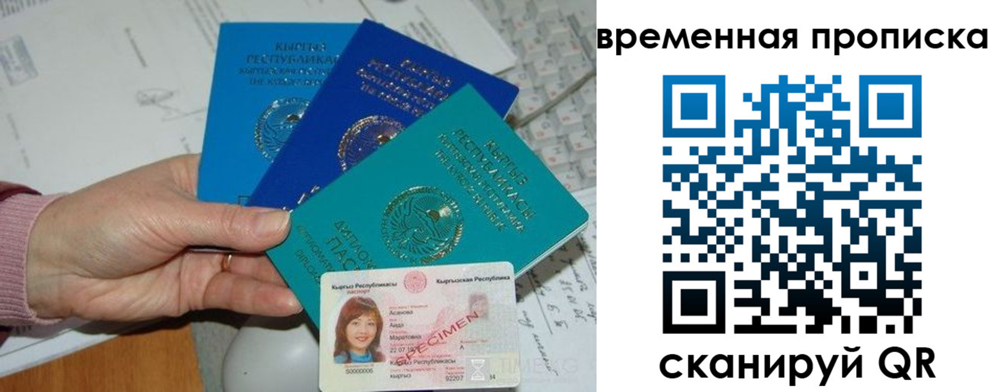 прописка для школы в Химках